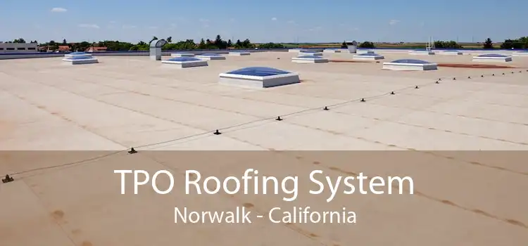 TPO Roofing System Norwalk - California