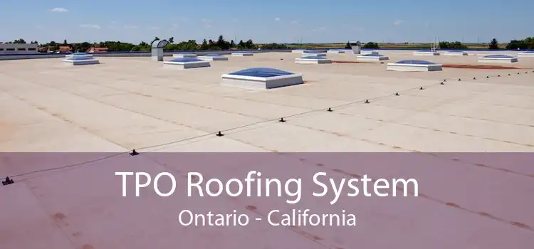 TPO Roofing System Ontario - California