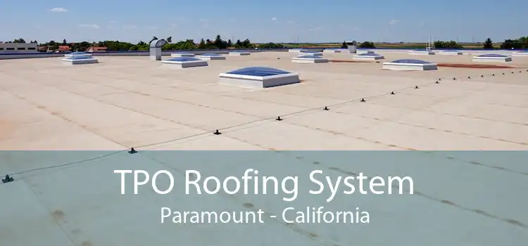 TPO Roofing System Paramount - California