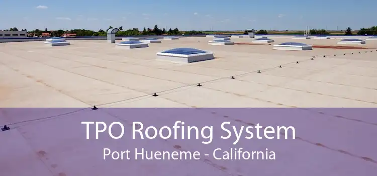 TPO Roofing System Port Hueneme - California
