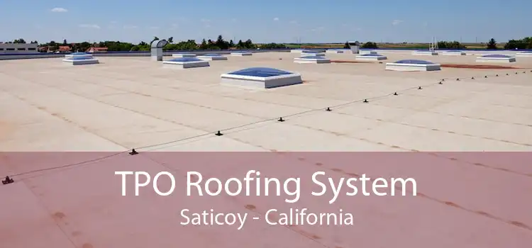TPO Roofing System Saticoy - California