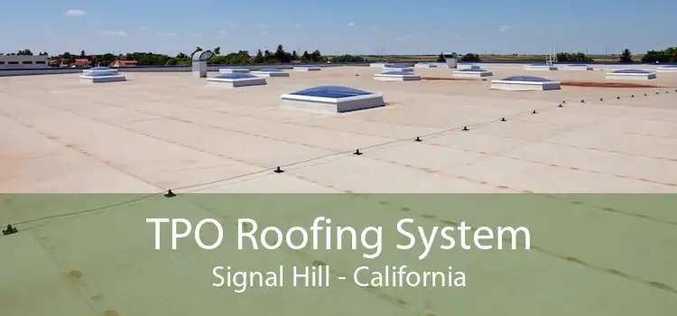 TPO Roofing System Signal Hill - California