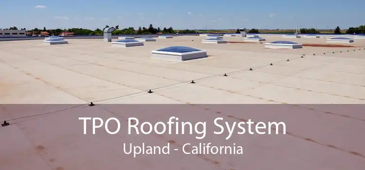TPO Roofing System Upland - California