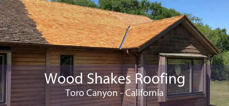 Wood Shakes Roofing Toro Canyon - California